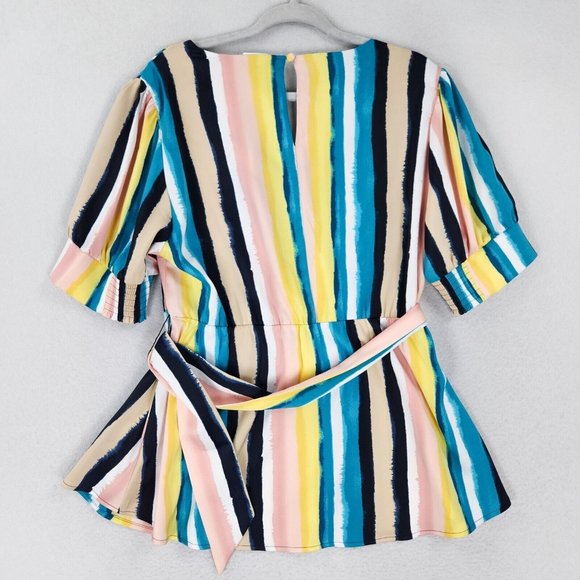 Lane Bryant Shirt Women 14 Pink Blue Colorful Striped Belted Satin Blouse Career - Picture 10 of 11